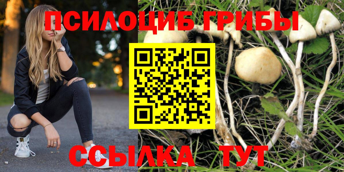 Галлюциногенные грибы Psilocybe  магазин продажи наркотиков  Кемерово  Вход с VPN 