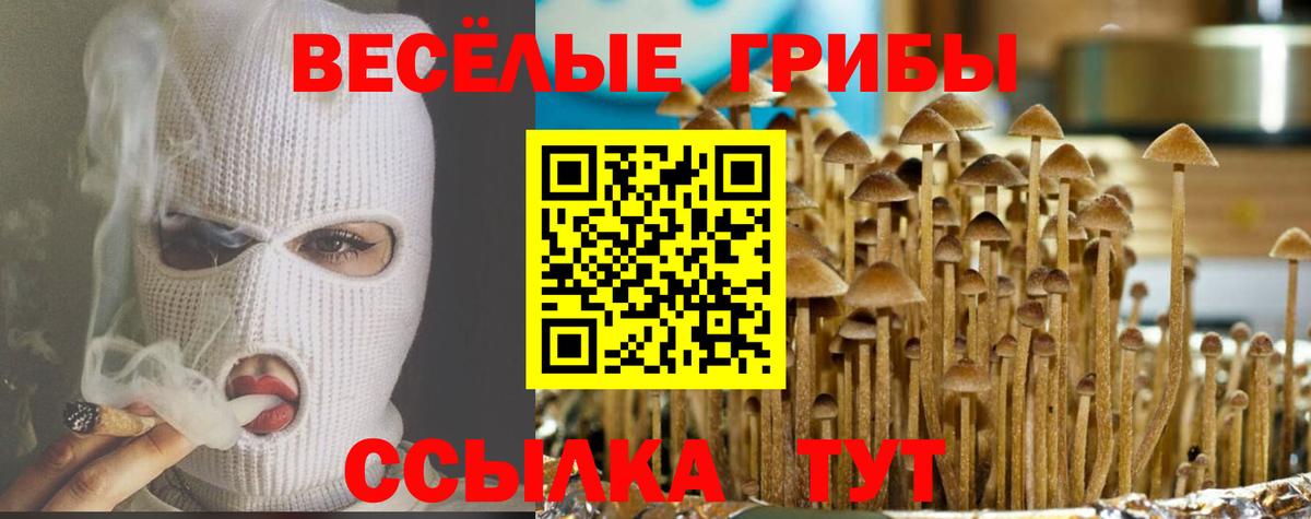 Псилоцибиновые грибы Magic Shrooms Кемерово
